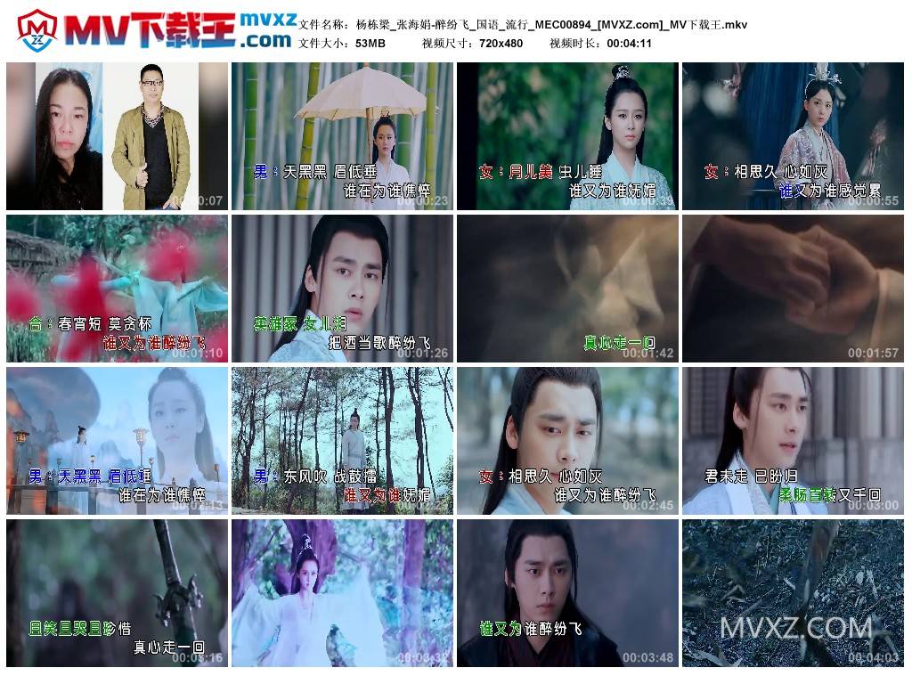 杨栋梁_张海娟-醉纷飞_国语_流行_MEC00894